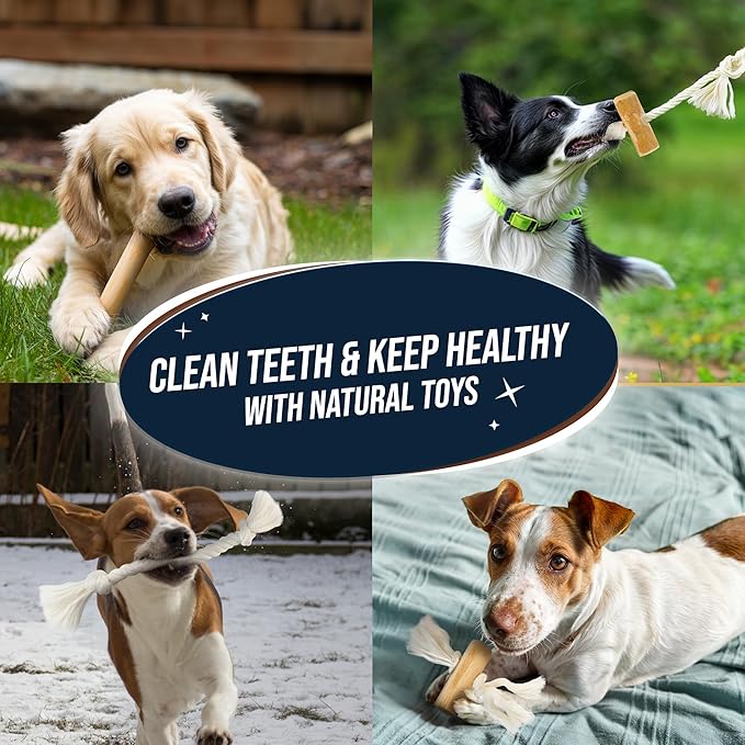 4 Pack Real Coffee Wood Stick for Dogs 15-40 lbs - GowGow Store