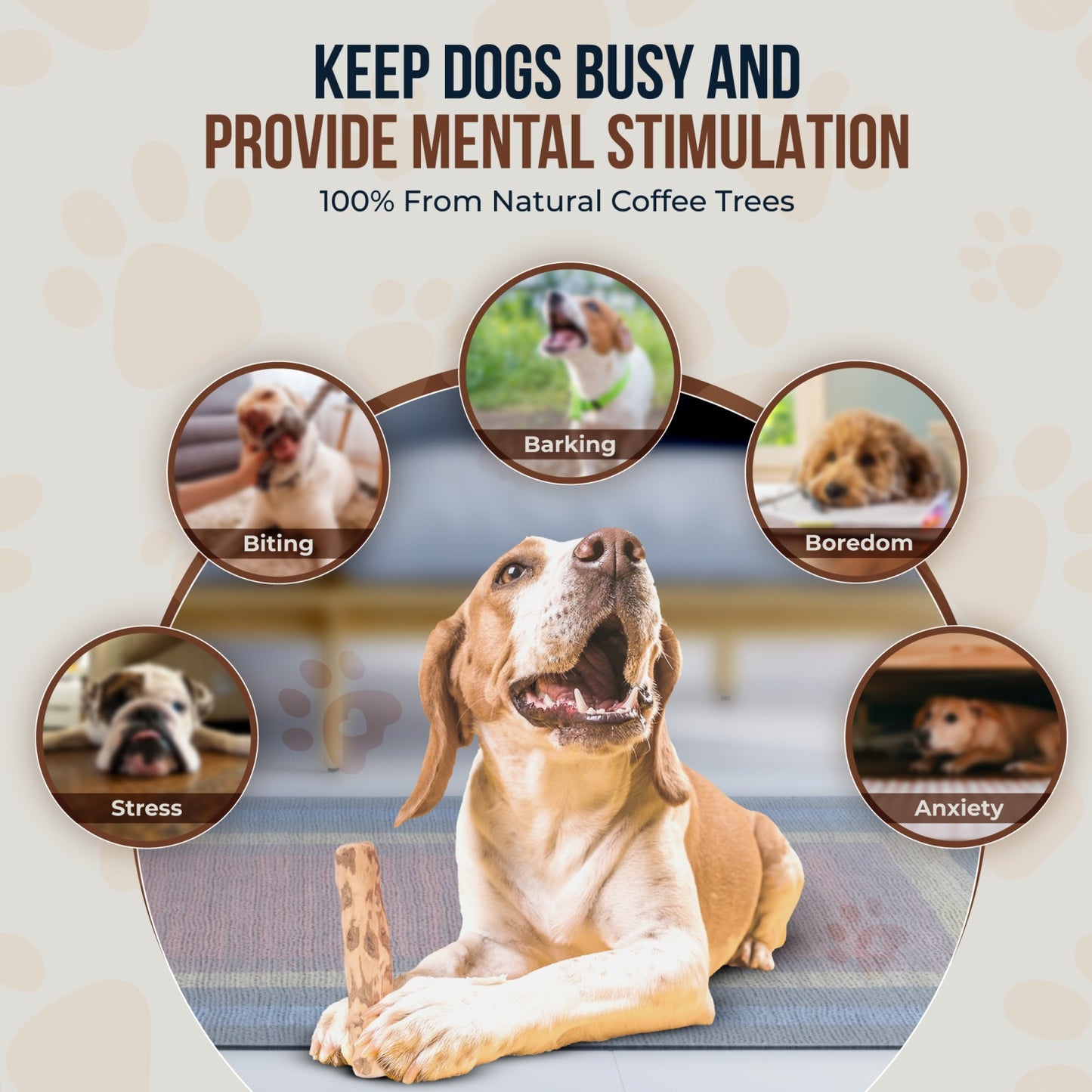 Coffee Wood Dog Chew Stick 2 Pack - GowGow Store