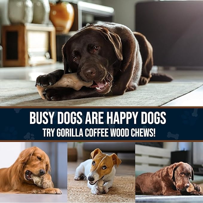 Real Gorilla Chew Toys - GowGow Store