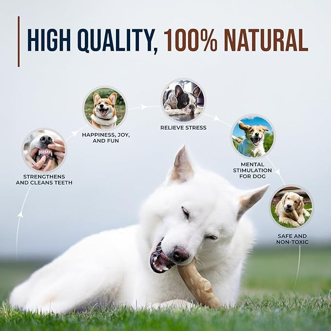 Coffee Wood Dog Chew Sticks - GowGow Store