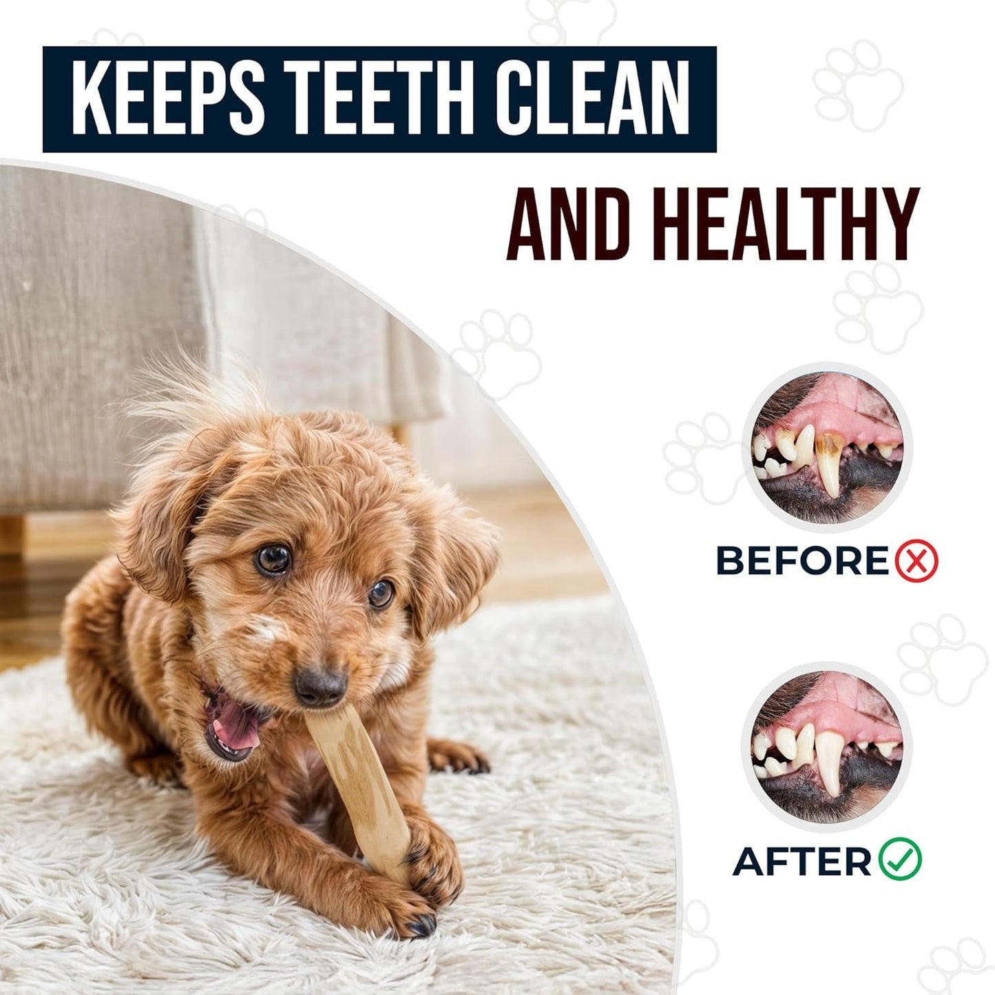 Coffee Wood Dog Chew 1 Pack - GowGow Store