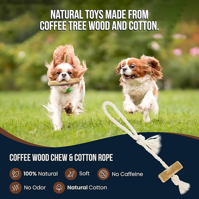 4 Pack Real Coffee Wood Stick for Dogs 15-40 lbs - GowGow Store