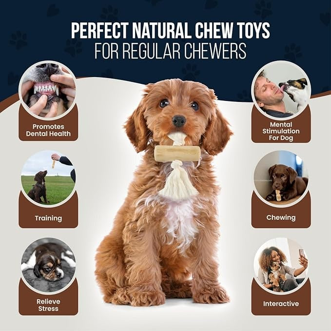 4 Pack Real Coffee Wood Stick for Dogs 15-40 lbs - GowGow Store