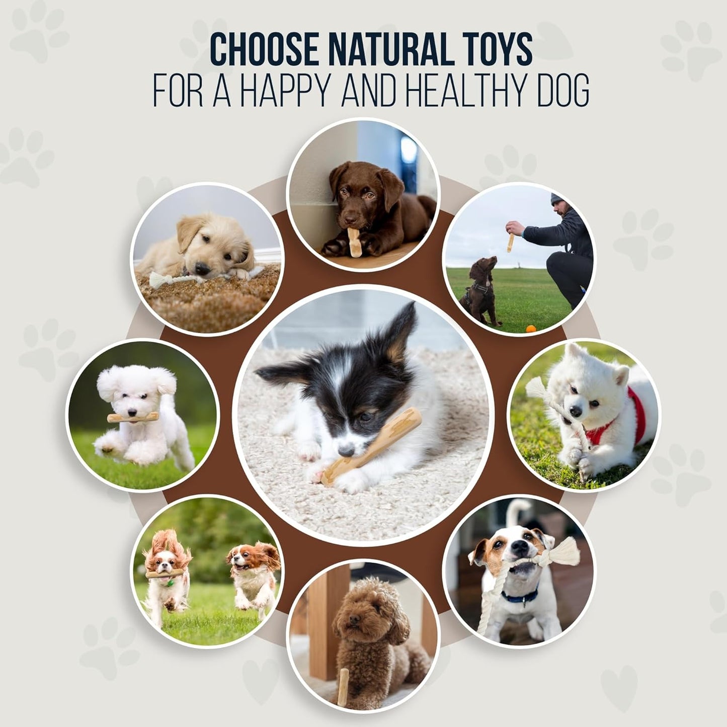 4 Pack Real Coffee Wood Stick for Dogs 15-40 lbs - GowGow Store