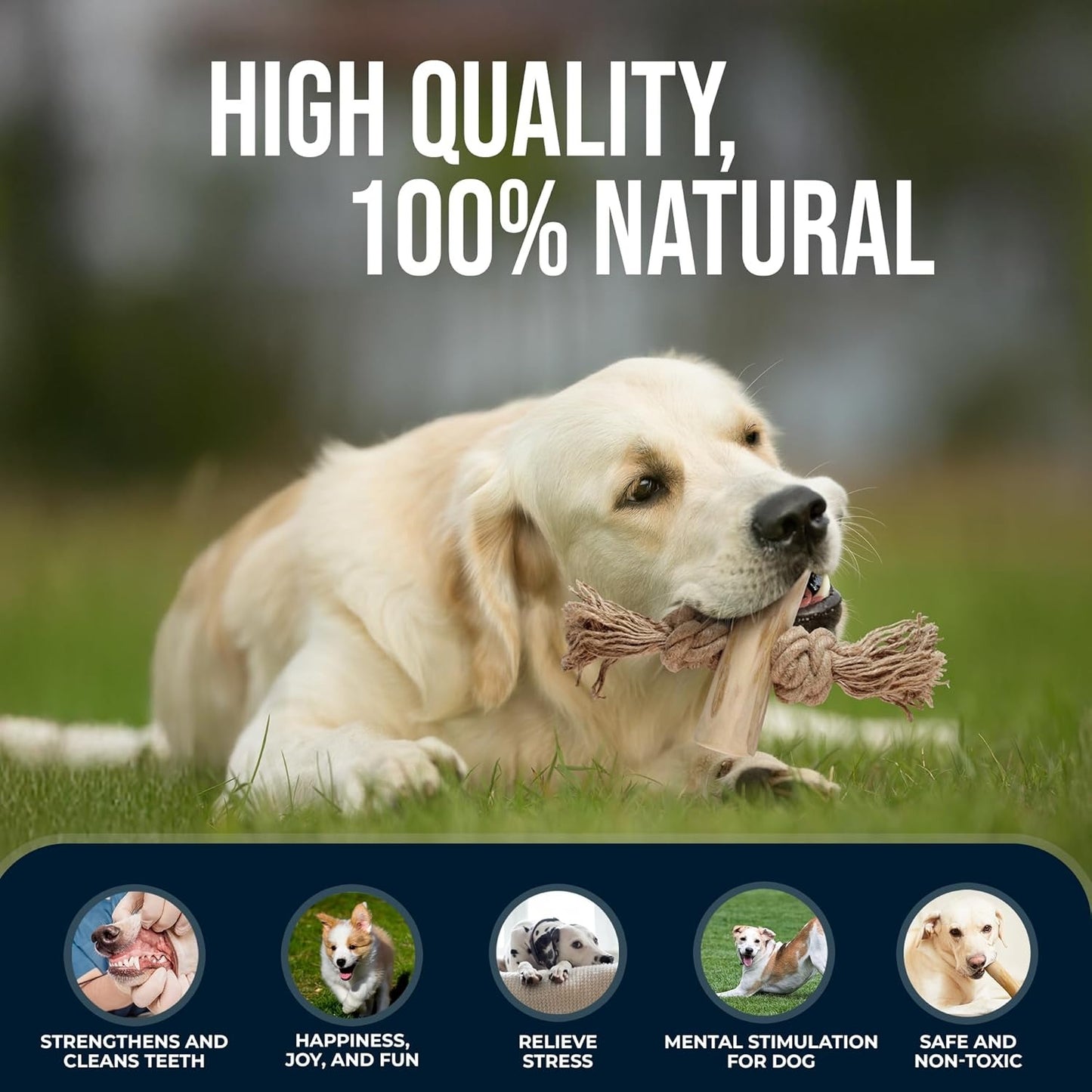 2 Pack Coffee Wood Tug for Dogs - Gowgow Store