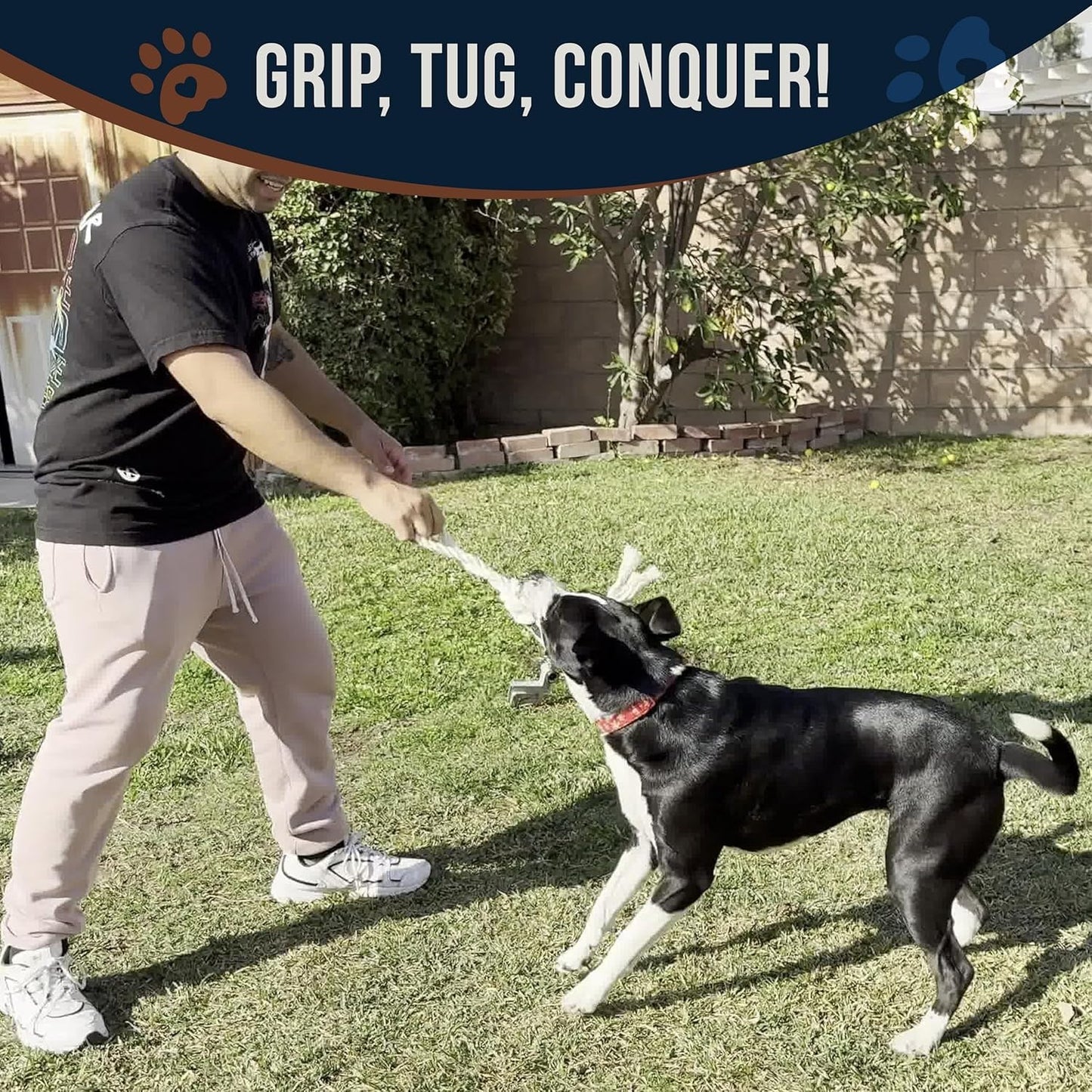 Combo Real Coffee Dog Wood Chew, Rope Toy