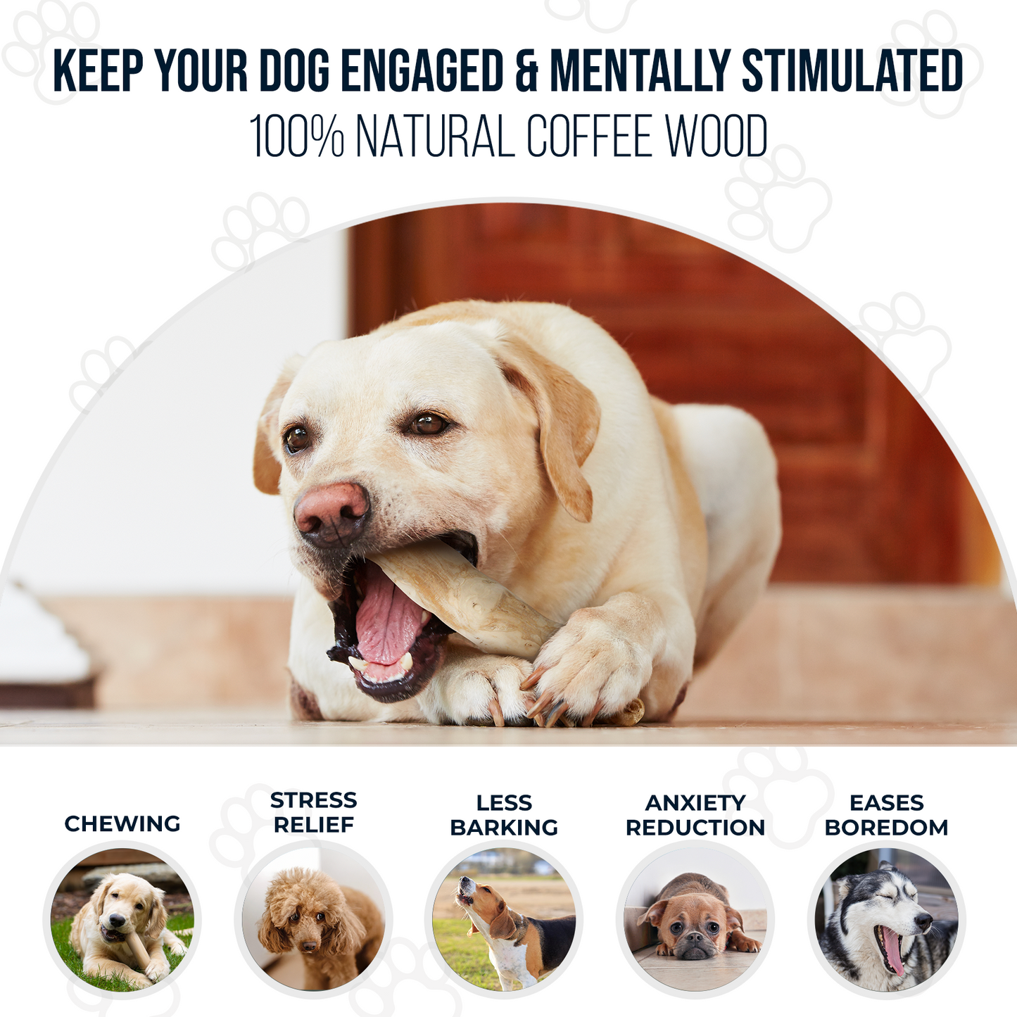 Coffee Wood Dog Chew 1 Pack