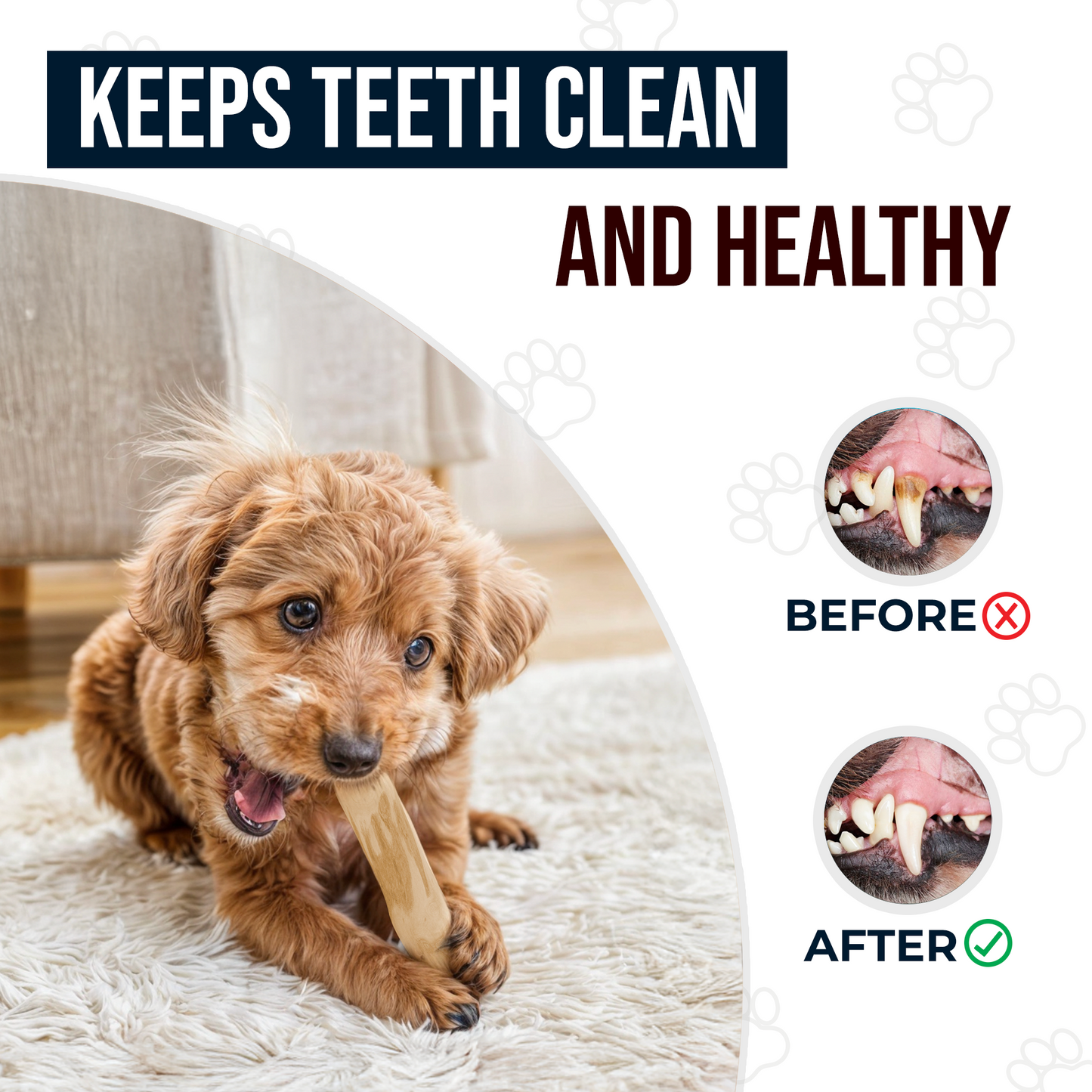 Coffee Wood Dog Chew 1 Pack