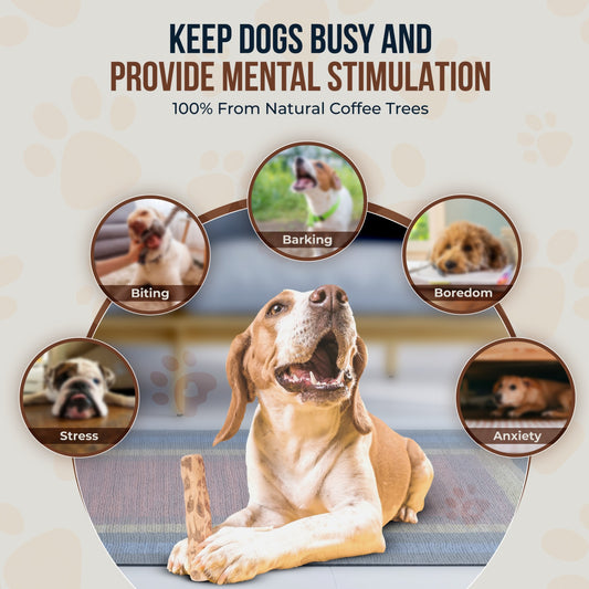 Coffee Wood Dog Chew Stick 2 Pack - GowGow Store