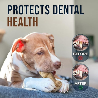 Real Gorilla Chew Toys