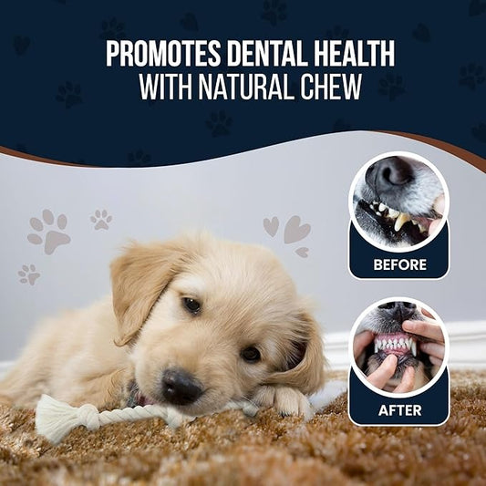 4 Pack Real Coffee Wood Stick for Dogs 15-40 lbs - GowGow Store