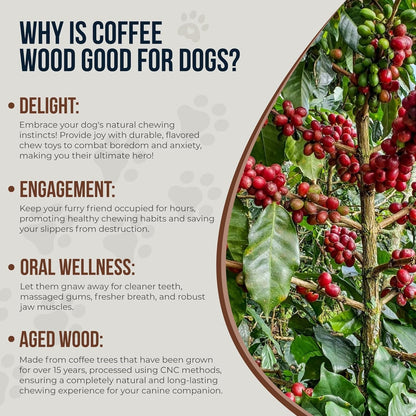 Combo Real Coffee Dog Wood Chew, Rope Toy