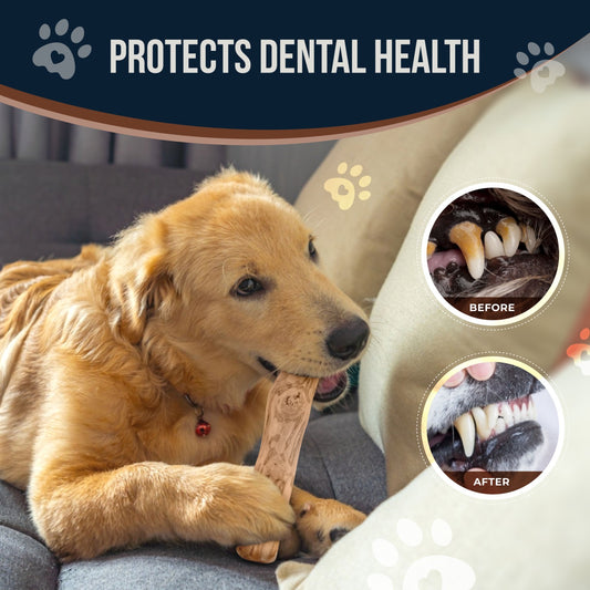 Coffee Wood Dog Chew Stick, 2 Pack Size Small, Dog Teeth Cleaning & Relieve Stress, Organic Toys