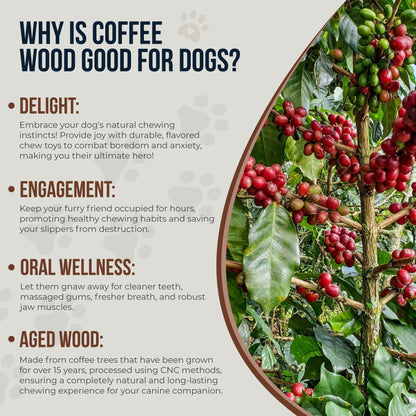 Coffee Wood Dog Chew Stick, 2 Pack Size Extra Small, Dog Teeth Cleaning & Relieve Stress, Organic Toys