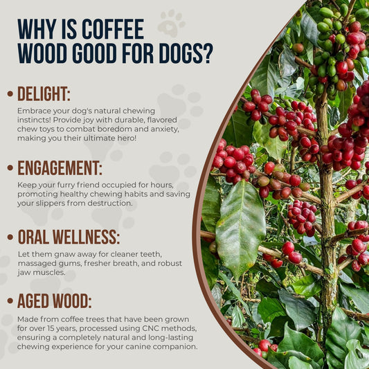 Coffee Wood Dog Chew Stick, 2 Pack Size Extra Small, Dog Teeth Cleaning & Relieve Stress, Organic Toys